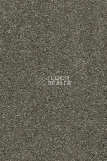 Ковролин AW Vivendi Punch 29 фото 1 | FLOORDEALER